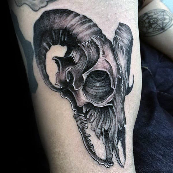 Detailed Goat Skull Mens Outer Arm Tattoos