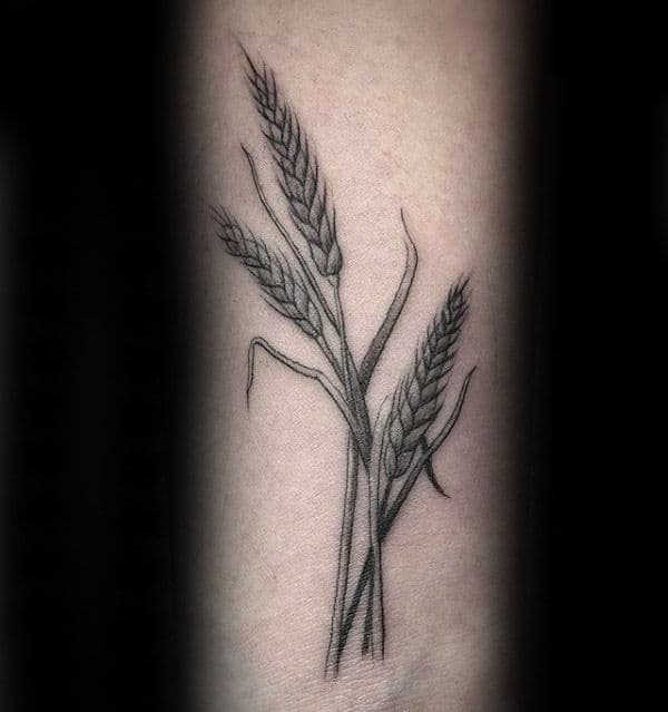 Detailed Guys Virgo Wheat Forearm Tattoo