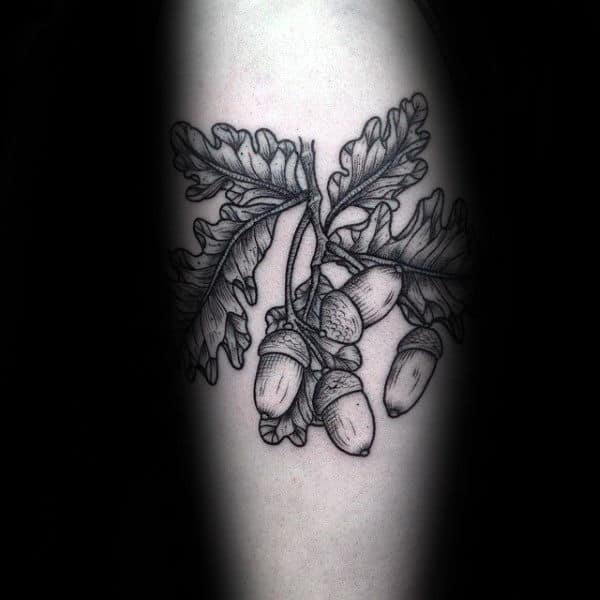 Detailed Male Grey And Black Ink Acorn Tattoos