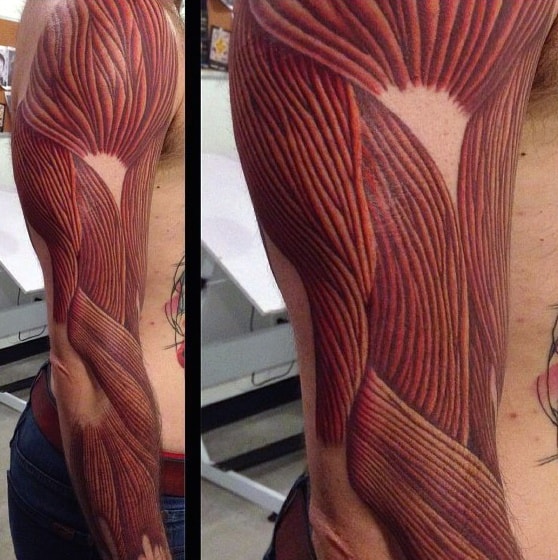 Detailed anatomical tattoo of arm muscles, with fine red and brown lines showing layered fibers for a realistic, skinless effect.