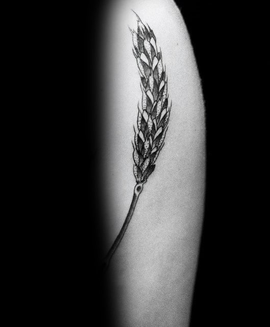 Detailed Wheat Tattoos For Guys On Arm