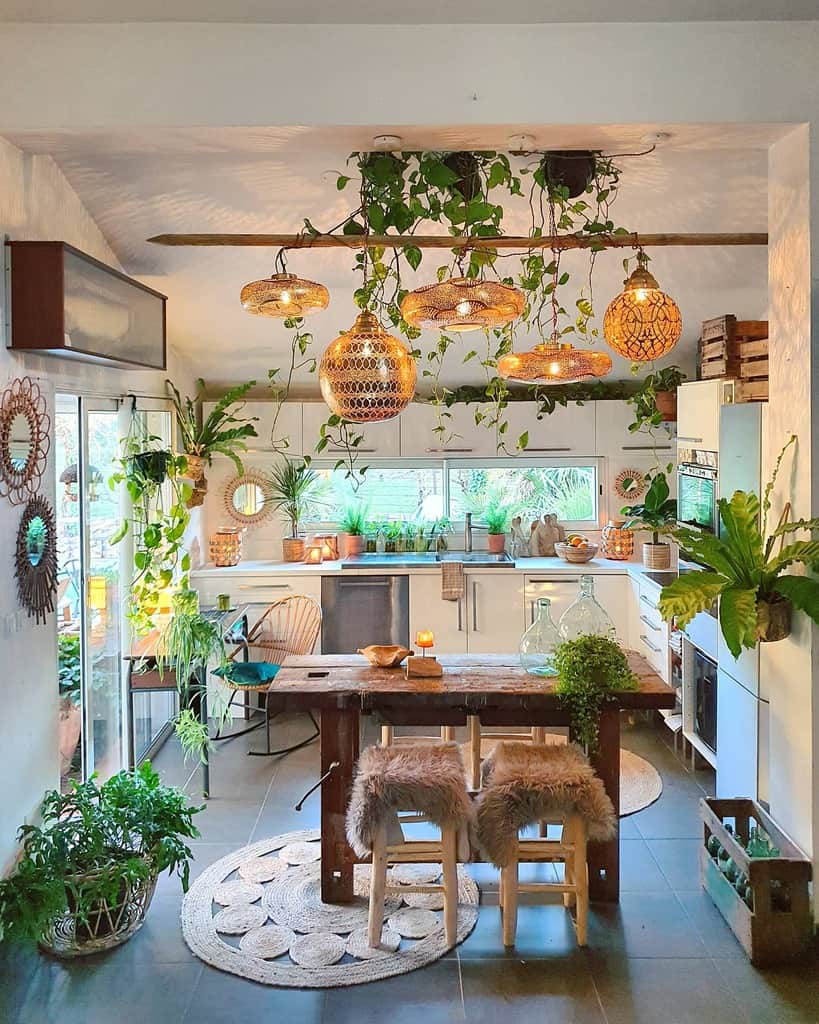 kitchen dinning room wood table and chairs hanging plants wall plants 