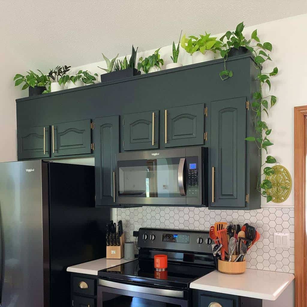 green wall kitchen cabinet with plants 