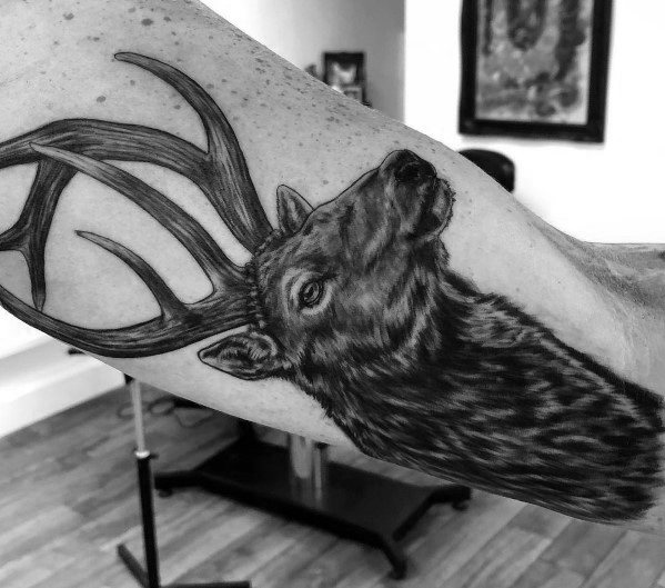 Realistic black and grey elk tattoo on the inner arm, featuring fine details in the fur and antlers for a bold and lifelike design.
