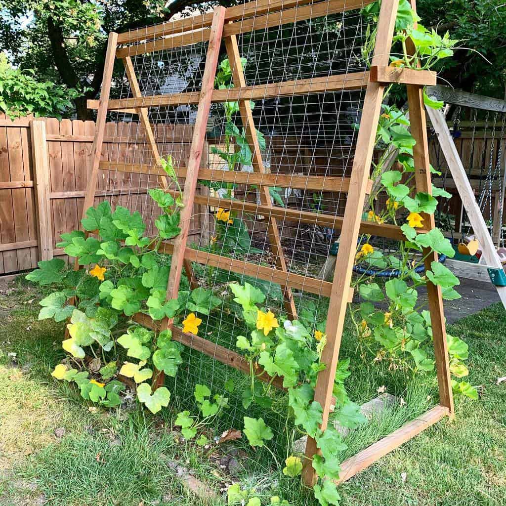 wood and wire mesh garden trellis