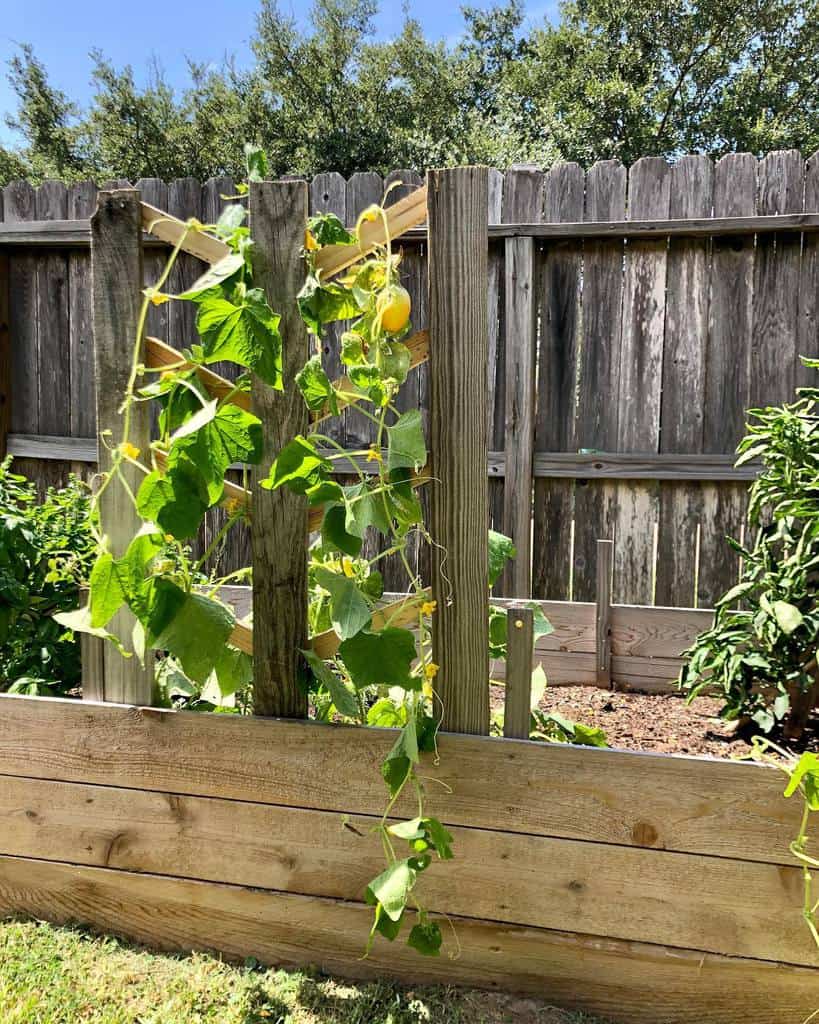 diy vegetable garden trellis wood planter box