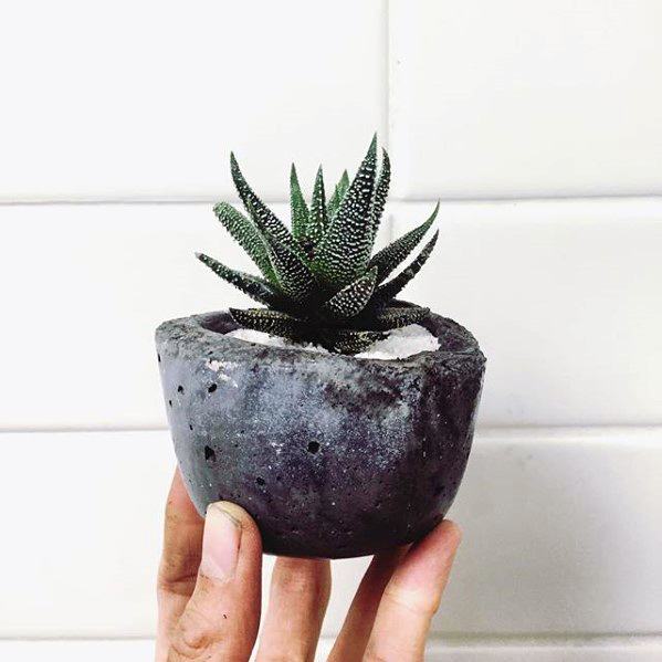 Hand holding a small succulent in a round, dark gray concrete pot against a white tiled background