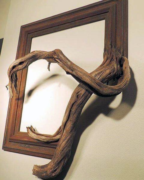 A wooden frame with a twisted branch artfully extending through the center, creating a 3D effect on the wall