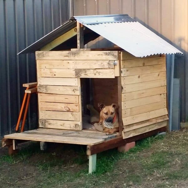 Simple DIY dog house made of wooden planks with a corrugated metal roof, featuring a dog resting inside on a small platform