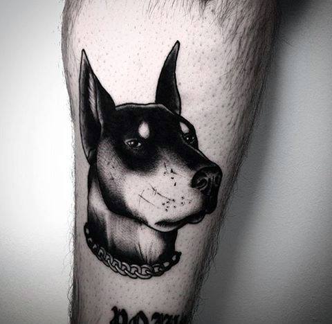 Bold blackwork Doberman tattoo with high contrast shading, featuring a thick chain collar and a confident, focused expression.