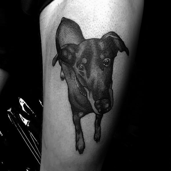 Realistic black and grey Doberman tattoo with a playful, curious expression and a perspective that makes the dog appear to pop out.
