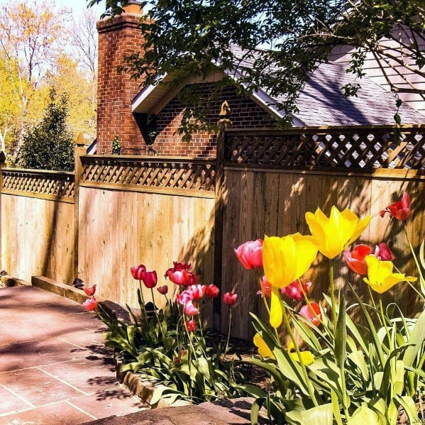 Garden with blooming tulips and daffodils by a brick pathway and charming wooden fence