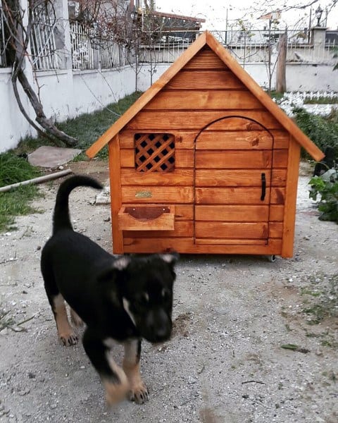 Wooden dog house with a pitched roof, featuring a lattice window, small entrance, and a storage box, set in a garden with a puppy walking in front