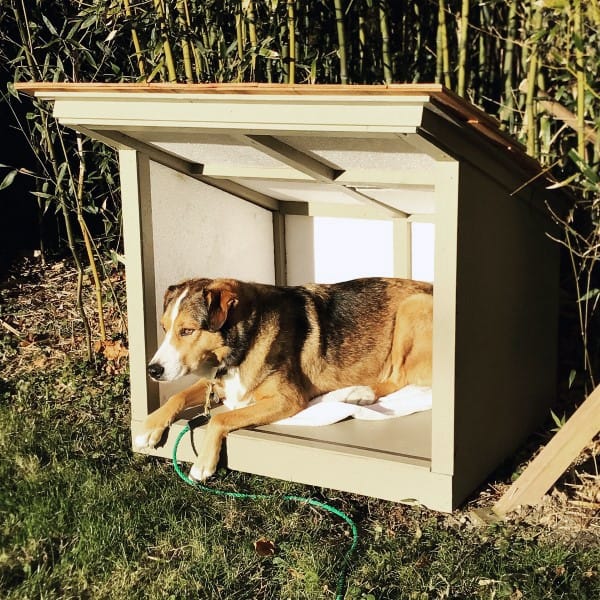 A medium-sized dog lounging inside a modern dog house with a slanted roof, resting on a soft cushion