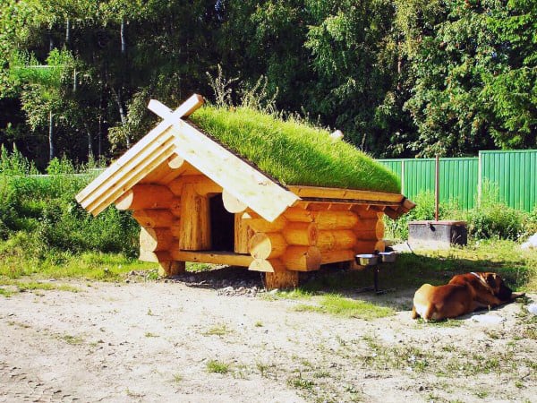 A log cabin-style dog house with a grassy roof, situated outdoors in a natural setting. A dog is resting nearby on the ground, and the house is surrounded by greenery and a wooden fence