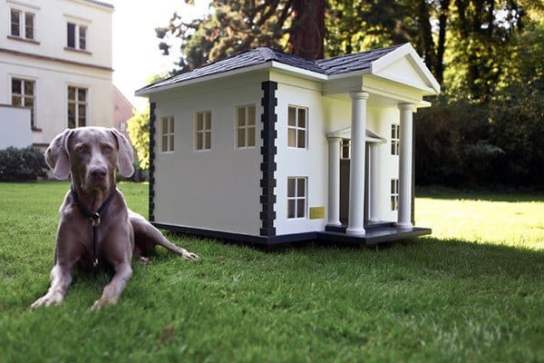 A luxury dog house designed like a mansion with columns and large windows, situated on the grass beside a dog