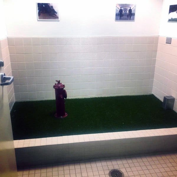 dog room artificial turf and fire hydrant