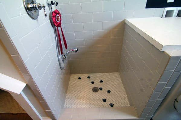 Dog Shower For Mudroom Ideas With Paw Print Tile Floor