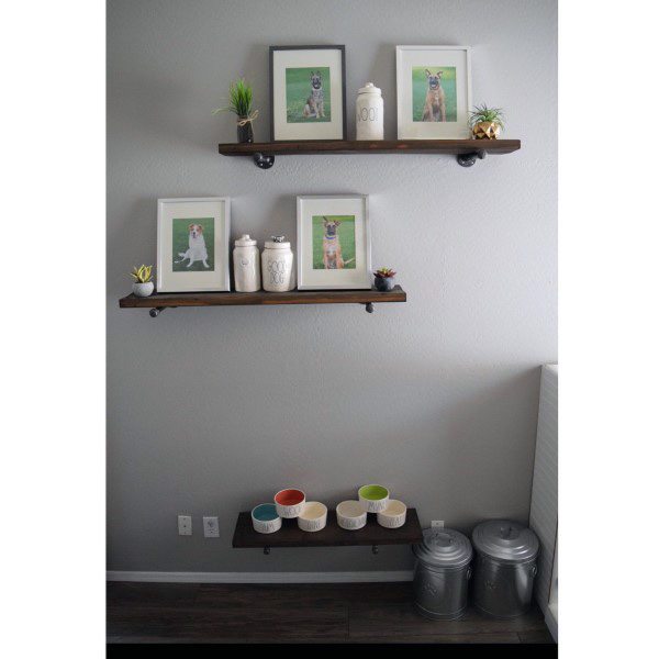 dog themed room with wood wall shelves and dog photos 