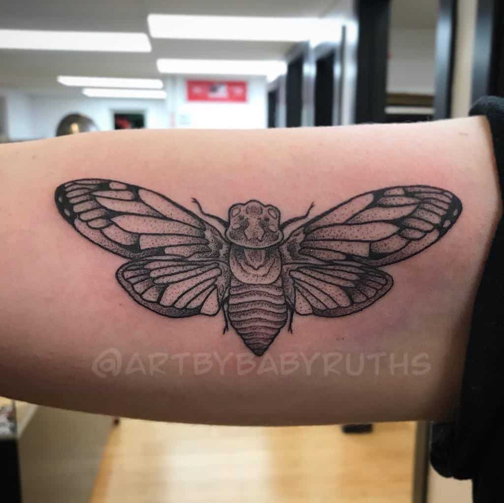 Tattoo of a detailed cicada on an arm