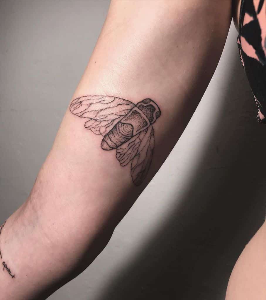 Tattoo of a detailed cicada on an upper arm