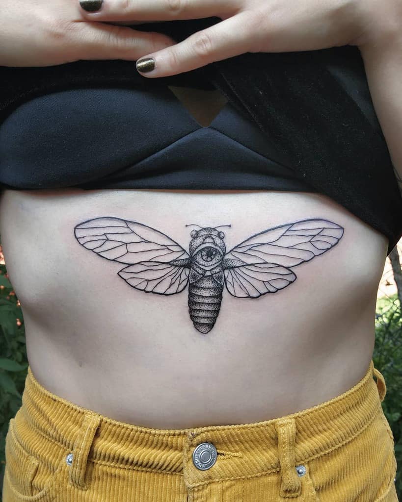 A detailed cicada tattoo on a person's lower abdomen
