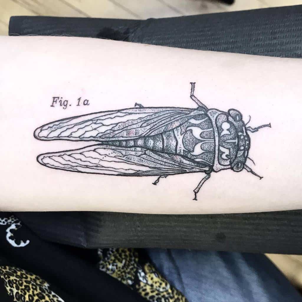 Tattoo of a detailed cicada with "Fig. 1a" text on an arm
