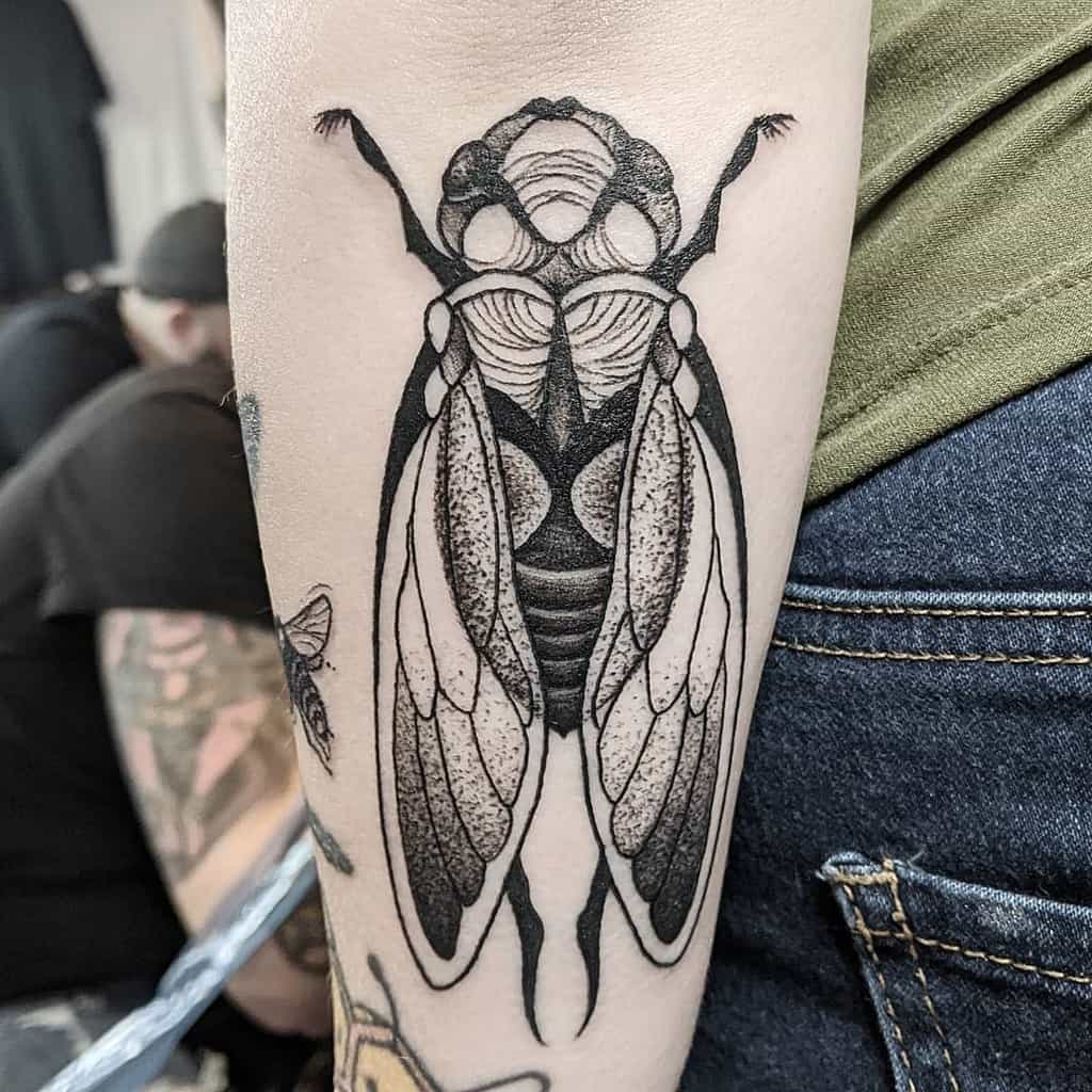 Black and gray cicada tattoo on a person's forearm