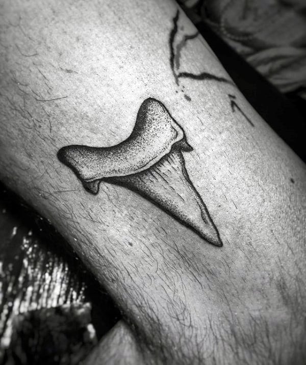 Dotwork Detailed Male Shark Tooth Tattoo Designs