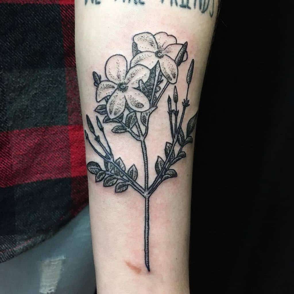 Dotwork Jasmine Flower Tattoos Winstonartwork