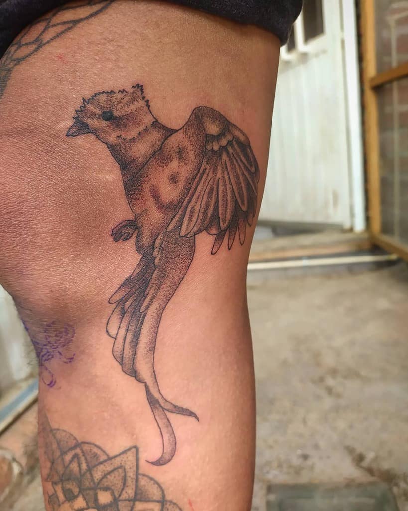 Dotwork quetzal tattoo on the thigh, featuring a stylized bird in flight with soft shading, intricate wing details, and long flowing tail feathers