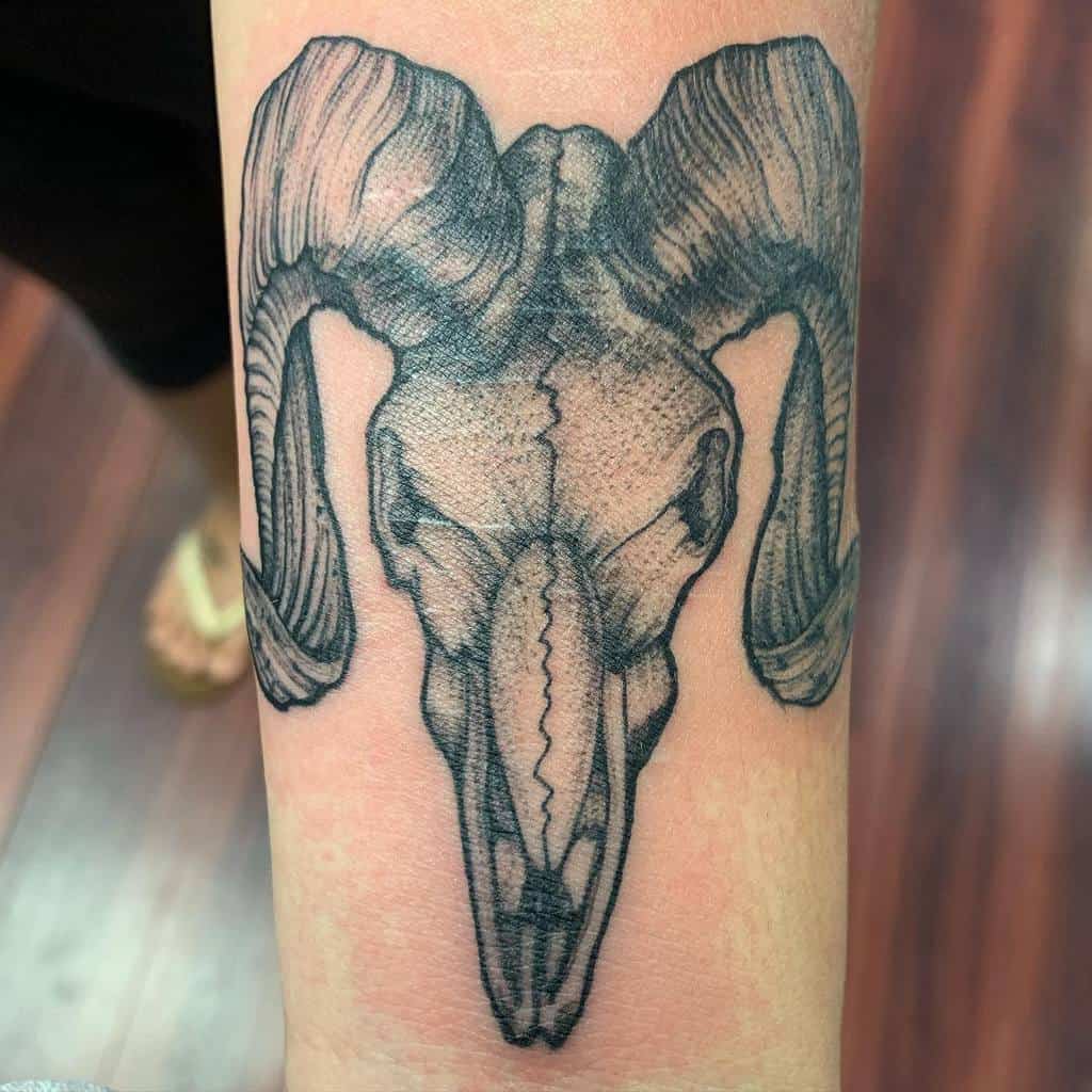 Tattoo of a meticulously detailed ram skull with imposing horns, elegantly inked on an arm