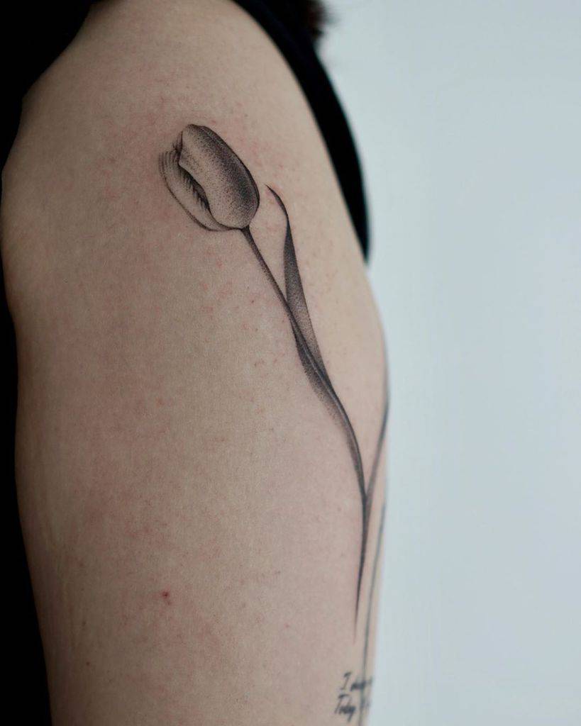 A minimalist black and grey tulip tattoo on the upper arm, featuring fine shading and a gracefully curved stem for an elegant, subtle look.