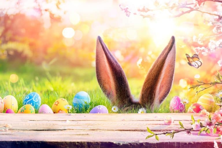 easter-jokes-that-are-egg-tastic-image-1