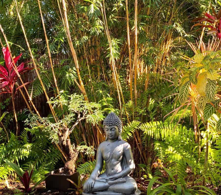 lush green garden with bonsai plant and meditating statue 