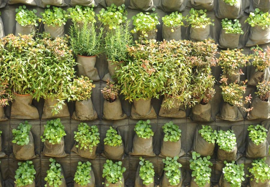 vertical herb garden