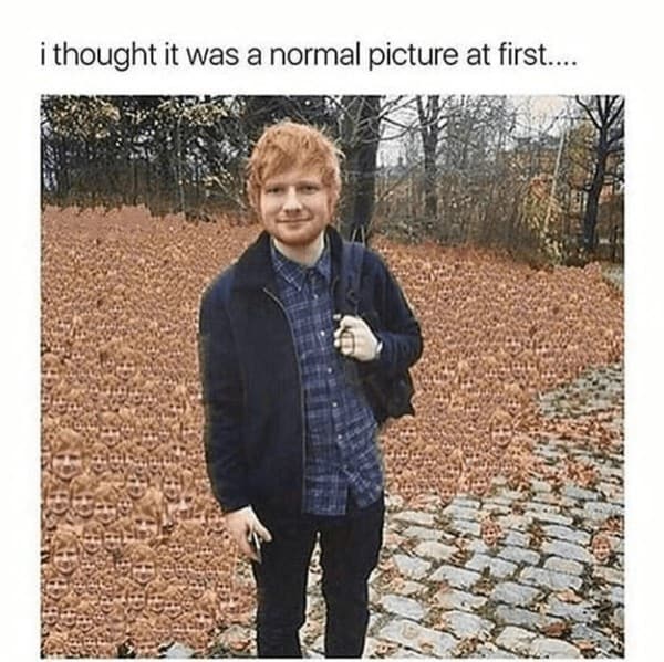 ed-sheeran-memes-5