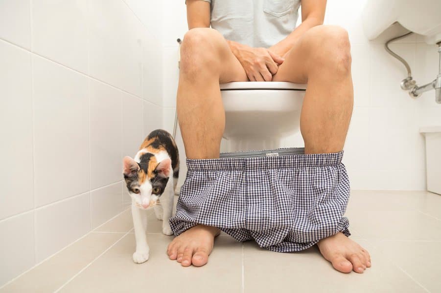 embarrassing-things-to-do-in-public-image-22