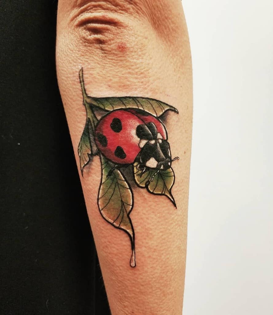 Realistic ladybug tattoo on a leaf with rich shading and vibrant red tones, featuring a dripping effect for a unique and artistic touch.