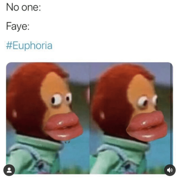 euphoria-memes-18