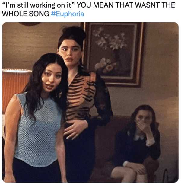 euphoria-memes-7