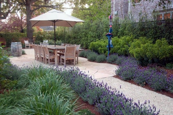 lavender landscape gravel path