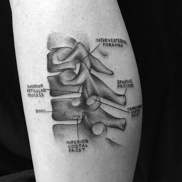 Black and grey tattoo of labeled vertebrae anatomy, featuring spine segments with text pointing to structures like spinous process and costal facet.