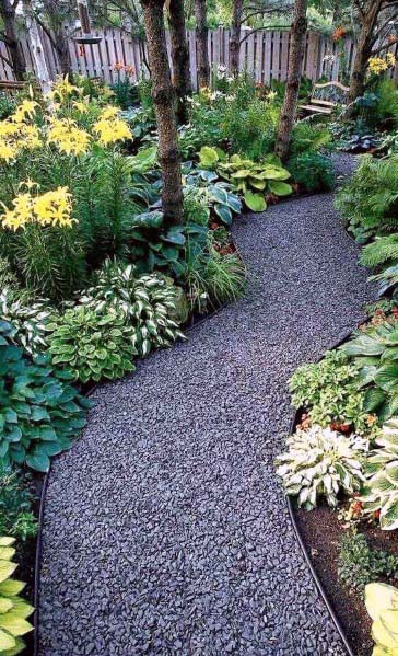 rainforest gravel landscape
