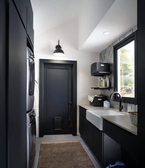 Exceptional Doggy Door Ideas Painted Black Mud Room