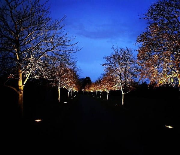 Tree-lined driveway illuminated by ground lighting, casting a soft glow along the path and creating a stunning ambiance at twilight