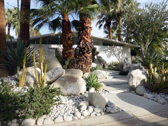 layered front yard with white boulders and large palm trees
