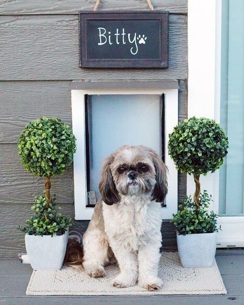 Exterior Planters With Sign Doggy Door Ideas Inspiration