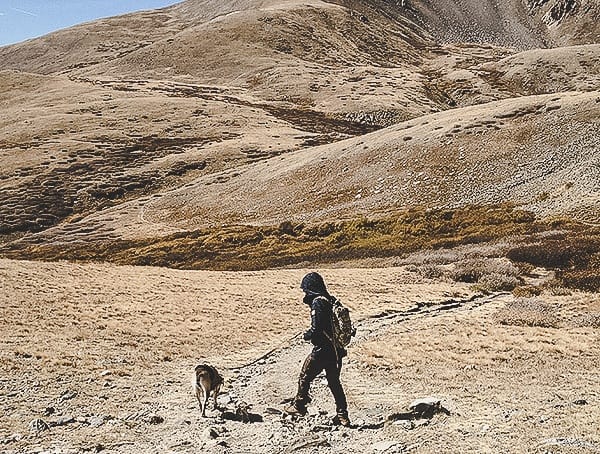 Fall Mens Jackets Fjallraven Skogso Field Test Review