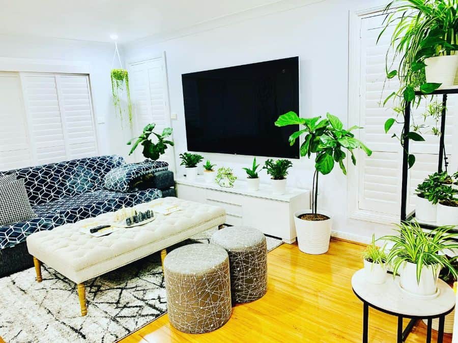 white family room pattern sofa green plants